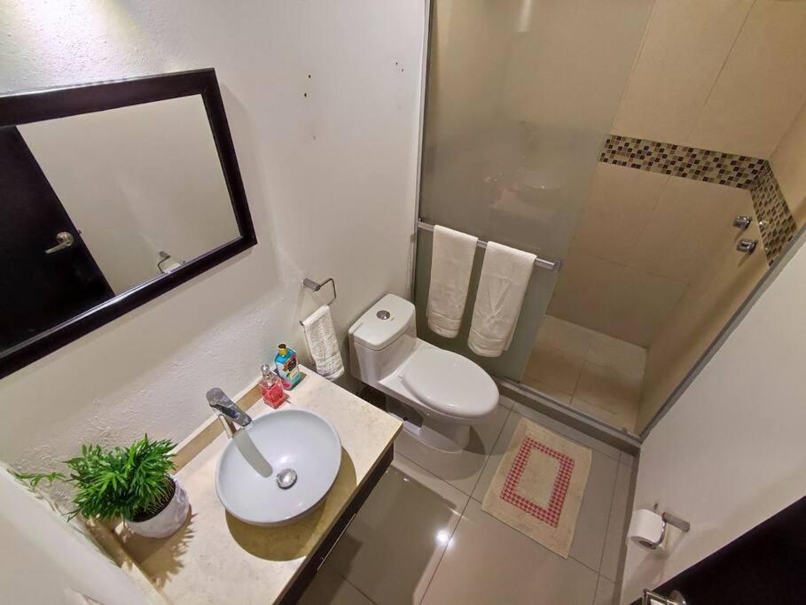 Departamento Para Ejecutivo Con Vista Panoramica 케레타로 외부 사진
